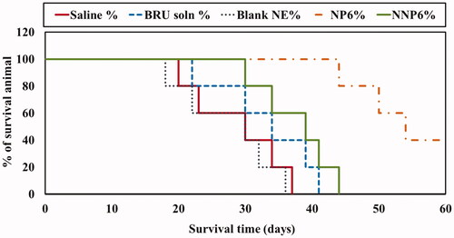 Figure 11. Effect of BRU-loaded PLGA NPs on survival of MDA tumor-bearing mice.