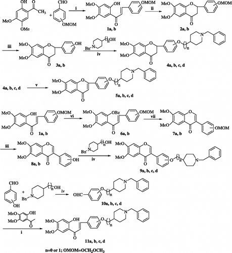 Scheme 1.  Reagent and conditions: (i) KOH, ethanol/water, rt, 10h (ii) NaOAc, 95% ethanol reflux 20h (iii) 3N HCl, methanol, 65°C, 0.5h (iv) PPh3, DEAD, CH2Cl2, Et3N, rt, 48h (v) I2, pyridine, 90°C, 6h (vi) BzCl, DMF, 60°C, 3h (vii) a DIB-TsOH, methanol, rt, 4h b aq. NaOH, rt, 24h.