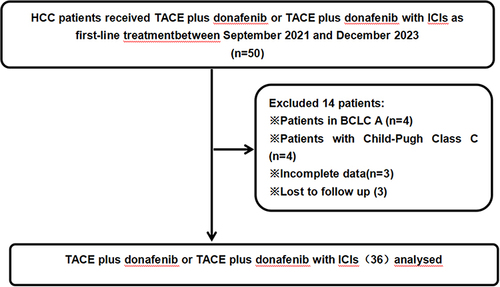 Figure 1 Patient flow chart.