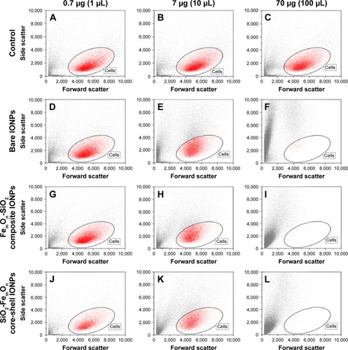 Figure 4 Morphology of human umbilical vein endothelial cells 48 h after incubation with different doses of IONPs according to forward and side scattering profiles obtained with flow cytometry analysis.Notes: (A–C) Controls; (D–F) Bare IONPs; (G–I) FemOn-SiO2 composite IONPs; and (J–L) SiO2-FemOn core-shell IONPs.Abbreviation: IONPs, magnetic iron oxide nanoparticles.