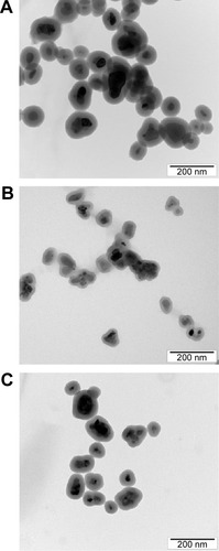 Figure 2 Transmission electron micrograph of the products.Notes: I: La0.75Sr0.25MnO3, core size 32 nm, silica layer 29 nm (A); II: La0.7Sr0.3 MnO3, core size 27 nm, silica layer 16 nm (B); III: La0.65Sr0.35MnO3, core size 22 nm, silica layer 23 nm (C).