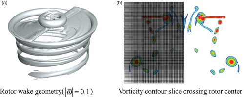 Figure 7. Predicted rotor-wake structure from the full CFD method (Caradonna–Tung rotor): (a) rotor-wake geometry () and (b) vorticity contour slice crossing the rotor center.