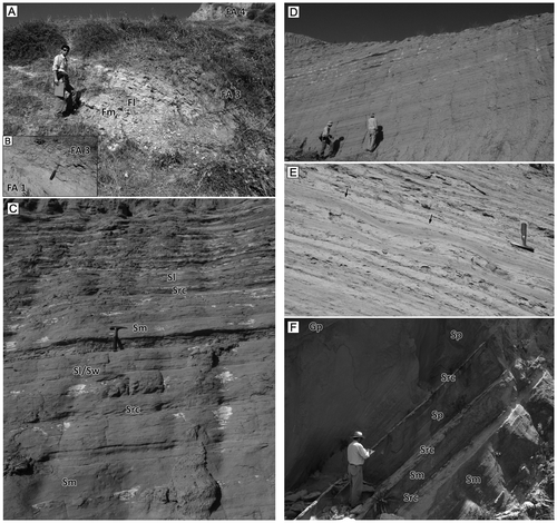 Figure 8. Photographs of representative facies showing upper part of the Fevzipaşa Formation. (A) Fm, Fl dominated prodelta deposits (FA 3) are overlain by sandstones of FA 4. (B) Prodelta mudstones overlie the deposits of FA 1. (C, D, E) Shallow marine fan-delta slope deposits (FA 4). Note the hummocky cross-laminations in photo E. (F) The facies of FA 5. Note the laterally discontinuous light colored small-scale scour and fill sandstones terminated by current ripple cross-laminated sandstones (Src).