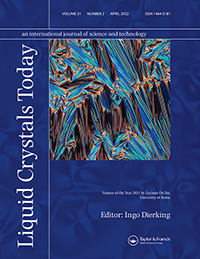 Cover image for Liquid Crystals Today, Volume 31, Issue 2, 2022
