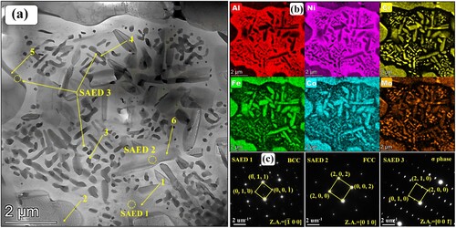 Figure 7. (a) TEM map, (b) associated EDS mapping results and (c) SAED patterns of flower-like structure of microstructure in region P3 shown in Figure 6(c).