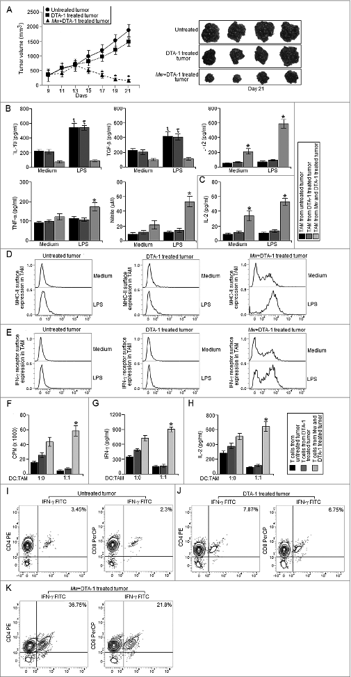 Figure 4. The combination therapy involving Mw and DTA-1 restricted the progression of advanced stage tumors. (A) 105 B16F10 melanoma cells were injected subcutaneously into the right flank of female C57BL/6 mice and were left untreated or treated with only DTA-1 (1 mg/mouse) or Mw (108 cells/mouse) and DTA-1 (1 mg/mouse) on day 9 post-tumor challenge. The tumor volumes were monitored on every 2 d and the final tumor volume was determined at 21 d post-tumor challenge. The data shown here representative of three independent experiments with n = 4/ mice group. TAM (105 cells) isolated from untreated and only DTA-1 or Mw and DTA-1 treated mice were plated in a 96 well plate were left untreated or treated with LPS (100 ng/mL) for 4 h. (B) The cell free supernatant collected at 24 h was subjected to ELISA to detect the presence of IL-10, TGF-β, TNF-α, IL-12 whereas; the cell free supernatant collected at 48 h was subjected to Griess Method assay for the detection of nitrite generation. (C) In a separate set of experiments, TAM (105 cells) isolated from untreated and only DTA-1 or Mw and DTA-1 treated mice were left untreated or treated as mentioned above were subjected to MHC-II dependent antigen presentation assay as described in the Materials and Methods. (D, E) In another set of experiments, TAM (105 cells) isolated from untreated and only DTA-1 or Mw and DTA-1 treated mice were left untreated or treated as mentioned above were subjected to FACS for detection of MHC-II and IFN-γ receptor surface expression. (F) In a separate set of experiments, CD25– T cell isolated from both the untreated and only DTA-1 or Mw and DTA-1 treated tumor bearing mice were co-cultured with DC pre-activated with whole tumor lysate pulsed and TAM isolated from untreated and DTA-1 or Mw and DTA-1 treated tumor bearing mice were added to the culture at 1:1 ratio (DC:TAM) and T cell proliferation was determined. (G, H) The cell free supernatant was collected and subjected to ELISA for detection of IFN-γ and IL-2. In a separate experimental set, tumors from untreated and DTA-1 or Mw and DTA-1 treated mice were subjected to enzymatic digestion to generate a single cell suspension as described in the Materials and Methods and the tumor infiltrating CD4+ and CD8+ T cells were purified by MACS using CD4 and CD8 magnetic beads. (I–K) The isolated tumor infiltrating CD4+ and CD8+ T cells were then subjected to FACS for determination of the proportion of CD4+ IFN-γ+ and CD8+ IFN-γ+ T cells. The data shown here are mean ± standard deviation of three independent experiments, a value of p < 0.05 (*, τ or ι ) was considered to be significant, whereas the FACS data shown here are the best representative among three independent experiments.