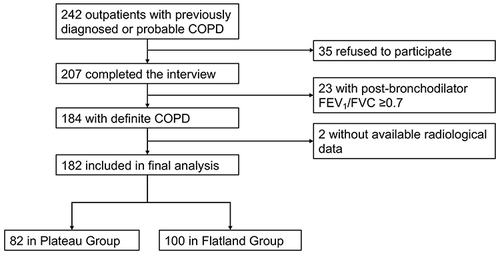 Figure 1 Flow chart of the study.