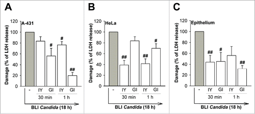 Figure 10. Effect of IY and GI on cellular damage induced by BLI Candida. A-431 cells (A), HeLa cells (B) or vaginal epithelium (C) were incubated for 30 min or 1 h in the presence or absence of IY and GI (both 100 mg/ml). After incubation, cells were washed 5 times, then incubated in the presence or absence of BLI Candida (1 × 106/ml) for 18 h. After incubation, cellular damage induced by BLI Candida was determined by the release of LDH. Data show the mean ± SEM of triplicates samples of 3 different experiments. Values of p < 0.05 and p< 0.01 were considered significant. #,p < 0.05 and ##,p < 0.01 cells incubated with BLI Candida plus GI or IY vs cells incubated with BLI Candida alone.