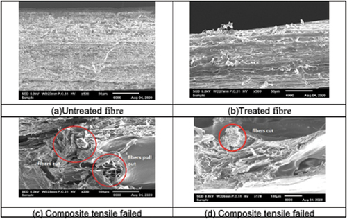 Figure 8. SEM results of (a)untreated fiber, (b)treated fiber, (c) and (d) composite tensile failed.