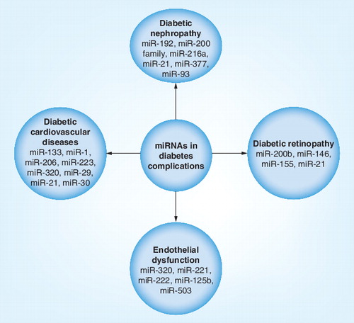 Figure 1. miRNAs that are dysregulated with the progression of diabetic complications: diabetic nephropathy, diabetic cardiovascular diseases, diabetic retinopathy and endothelial dysfunction.