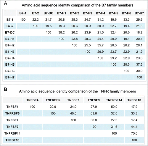 Figure 2. Amino acid sequence identity comparison of (A) B7 family members and (B) TNFR family members.
