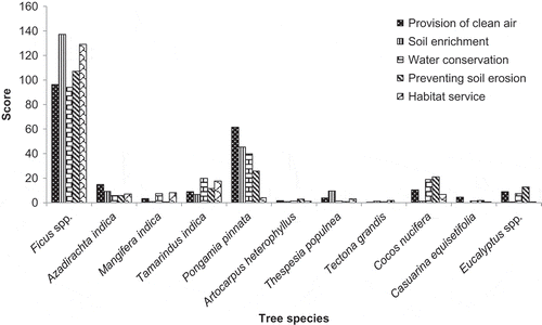 Figure 5. Environmental services from different tree species according to farmers’ perception in Mandya, Karnataka.