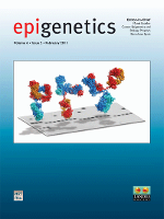 Cover image for Epigenetics, Volume 6, Issue 2, 2011