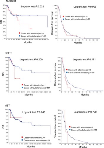 Figure 4 Recurrent and metastatic head and neck cancer samples with sequencing and CNA data (132 patients/samples) analyzed in cBioPortal.Notes: OS/recurrence-free survival, for cases with/without alteration(s) in query gene. Survival probabilities were calculated with the Kaplan–Meier method, according to the original article.Citation6 Detailed description of data mining could be found in http://www.cbioportal.org/results/survival?Action=Submit&RPPA_SCORE_THRESHOLD=2&Z_SCORE_THRESHOLD=2&cancer_study_list=hnc_mskcc_2016&case_set_id=hnc_mskcc_2016_cnaseq&data_priority=0&gene_list=TP53&geneset_list=&percnt;20&genetic_profile_ids_PROFILE_COPY_NUMBER_ALTERATION=hnc_mskcc_2016_gistic&genetic_profile_ids_PROFILE_MUTATION_EXTENDED=hnc_mskcc_2016_mutations&tab_index=tab_visualize.Citation134,Citation135Abbreviation: OS, overall survival.