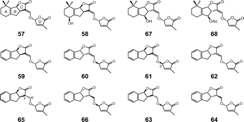 Fig. 3. Structures of natural and synthetic strigolactones. Notes: Natural strigolactones: 5-deoxystrigol (57), strigol (58), orobanchol (67), and orobanchyl acetate(68); synthetic strigolactones: (+)-GR24 (59), (−)-ent-GR24 (60), (+)-2′-epi-GR24 (61), (−)-ent-2′-epi-GR24 (62), (−)-3,6′-dihydro-GR24 (65), (+)-ent-3,6′-dihydro-GR24 (66), (−)-2′-epi-3,6′-dihydro-GR24 (63), and (+)-ent-2′-epi-3,6′-dihydro-GR24 (64).