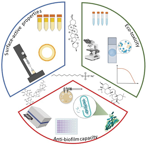 Figure 1. Conceptional figure joining green principles with hygiene criteria and cleaning efficacy.