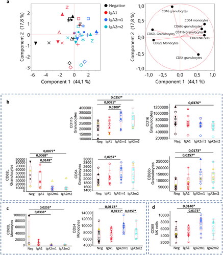 Figure 1. IgA subclasses show different activation profiles upon whole blood incubation. (a) Principal component analysis after selection of most discriminative parameters identified in Figure S3. (b) Box plots of the best discriminants for granulocytes (b), monocytes (c) and NK cells (d). Each shape represents a different donor (n = 10). Triplicate MFI average are represented excluding the conditions in which we obtained CVs > 30%. Triplicates with CVs between 20 and 30% are represented in yellow. Statistical significance was determined by a nonparametric Wilcoxon test with multiple comparisons, with *p < 0.05.