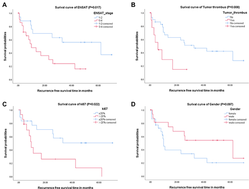 Figure 2 Kaplan–Meier curve of recurrence-free survival for ENSAT stage (A), cases with tumor thrombus (B), Ki67 index (C) and gender (D).