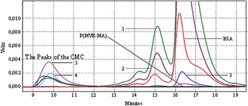Figure 1. Conventional Method Conjugates (CMC): HPLC chromatograms of BSA, P(MVE-MA), and BSA-P(MVE-MA) conjugates prepared at ratio on nBSA/nP(MVE-MA): 0.25(1), 0.5(2), 1(3), 3(4), 5(5).