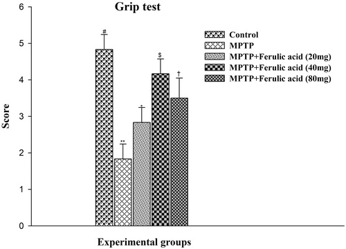 Figure 5. Grip test performance in experimental mice: Values are given as mean ± SD for six mice in each group. Error bars sharing common symbol do not differ significantly at p < 0.05. #Significantly p < 0.05 differ from MPTP and MPTP + ferulic acid-treated groups. **Significantly p < 0.05 differ from control and MPTP + ferulic acid groups. *Significantly p < 0.05 differ from control, MPTP, and MPTP + ferulic acid (40 mg/kg and 80 mg/kg body weight). $Significantly p < 0.05 differ from control, MPTP, and MPTP + ferulic acid (20 mg/kg and 80 mg/kg body weight) groups. †Significantly p < 0.05 differ from control, MPTP, and MPTP+ferulic acid (20 mg/kg and 40 mg/kg body weight) groups.
