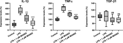 Figure 6. iAT2 cells express pro-inflammatory genes after incubation with LPS. iAT2 cells were incubated with LPS (500 ng/ml) alone or LPS plus 1 or 5 µM MIA-602 for 48 h. Quantitative RT-PCR was used to analyze the expression of IL-1β, TNF-α and TGF-β1 in the iAT2 cells. Compared to non-treated cells, iAT2 cells treated with LPS showed significantly enhanced expression of IL-1β and TNF-α (but not TGF-β1). Incubation with GHRH-R antagonist, MIA-602, at the same time significantly counteracted the effect of LPS. (Data are shown as medians with the upper/lower quartiles in the Box and Whisker plots, LPS vs LPS + MIA-602 ***, p < 0.001, ****, p < 0.0001; ns, not significantly different; One-way ANOVA and Bonferroni’s correction.).