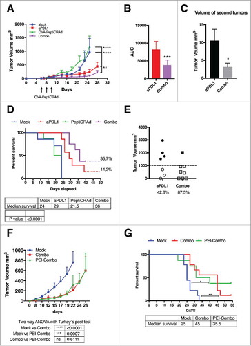 Figure 2. Combination of oncolytic vaccines and PD-L1 blockade increases the response to checkpoint inhibition. B16.OVA bearing female C57 BL/6 J mice (n = 7–8) were treated with saline solution (mock), OVA-PeptiCRAd oncolytic vaccine (day 6, 8 and 10, sub-cutaneously), 100 ug of anti-PD-L1 blocking antibody (aPD-L1) three times per week or a combination of the two monotherapies (Combo). A) Tumor volumes are plotted as the mean ± SEM. B) The area under the curves relative to the tumor growth of mice was calculated and plotted as the mean ± SEM. C) At day 28 long-term survivors were re-challenged on the left flank with B16 melanoma tumor cells (300000 cells/mouse). Volumes of the secondary tumors of long-term survivors are presented as mean ± SEM. E) Survival curve relative to the experiment presented in A. The percentage of tumor-free mice is indicated for aPD-L1 and Combo groups. The median survival of each group is reported in the table below the graph. F) The volumes of the primary tumors at day 35 are reported for each mouse to define the responders VS non-responders. Threshold of 1000 mm3 was set to define the response. The percentage of responders is reported below the x axis. G) C57 BL/6 J mice pre-immunized with the oncolytic adenovirus (PEI-COMBO) or naïve mice (Combo) were engrafted with B16.OVA tumor cells (n = 10). Both groups received the combination of oncolytic vaccine PeptiCRAd and aPD-L1 with standard regiment used previously. Tumor volume is presented as the mean ± SEM. H) Survival of the groups is presented and median survival reported. For tumor growth curves statistic were calculated by Two-Way ANOVA with Tukey´s post-test. The log rank Mantel-Cox analysis was used to calculate the p value of the survival curves. For the bar graphs the Student´s t-test was used. *p < 0.05, **p < 0.005, ***p < 0,001, ****p < 0,0001.