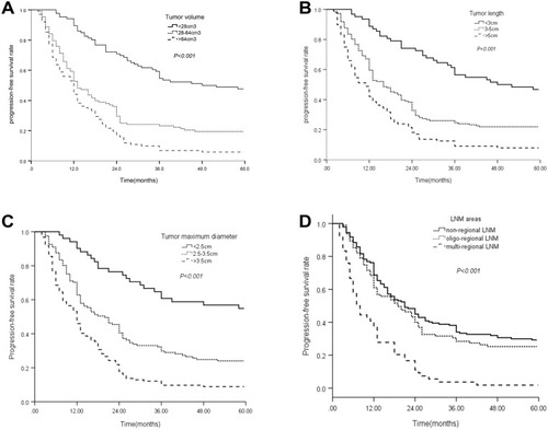 Figure 1 Kaplan–Meier survival curves for progression-free survival (PFS) in patients with ESCC receiving surgery. (A) 1-, 3-, and 5-year PFS of patients with preoperative tumor volume <28 cm3 were longer than those with 28–64 cm3 group or >64 cm3 group. (P< 0.001, log-rank). (B) 1-, 3-, and 5-year PFS of patients with preoperative tumor length <3 cm were obvious different from those with 3–5 cm group or >5 cm group. (P < 0.001, log-rank). (C) 1-, 3-, and 5-year PFS of patients with preoperative maximum diameter <2.5 cm group were obviously improved compared with patients of 2.5–3.5 cm group or >3.5 cm group. (P < 0.001, log-rank). (D) 1-, 3-, and 5-year PFS of patients with non-regional lymph node metastasis group were longer than those with oligo or multiple-regional lymph node metastasis group. (P< 0.001, log-rank).