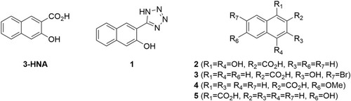 Figure 2 Structure of 3-HNA analogues tested in this study.