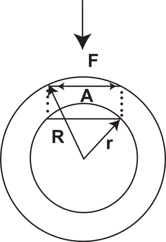Figure 1 A smaller force (F) is needed to applanate the same area (A) in a larger globe (R) than a smaller one (r).
