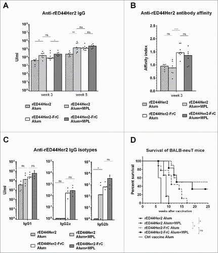 Figure 4. TLR4 agonist MPL cannot compensate for lack of T-cell help in terms of antibody affinity, IgG isotype induction or protection from spontaneous tumor development. BALB-neuT mice (n = 3–5 per group) were vaccinated with either rED44Her2 or rED44Her2-FrC, in alum or in combination with alum plus MPL. Serum was taken after priming, at week 3, or after boosting, at week 5. (A) Anti-rED44Her2 antibody levels measured by ELISA. (B) IgG antibody affinity from week 3 samples was measured by a chaotropic ELISA, and the affinity index calculated. (C) Levels of IgG isotypes were measured from serum samples taken at week 5. Medians are plotted, with Mann–Whitney statistics shown. Ns = p > 0.05, *p < 0.05, **p < 0.01, ***p < 0.001. (D) Survival of BALB-neuT mice from the spontaneous development of mammary tumors was followed after the above vaccination protocol. Mice were culled when total mean diameter of the tumors reached 15 mm. Log-rank (Mantel–Cox) statistics shown. Ns = p > 0.05, *p < 0.05. Due to the limited number of BALB-neuT mice available, results from two experiments showing the same trends have been combined in (A), (B), (C) and (D).