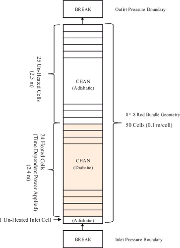 Figure 5. Calculation model and nodalization of TRAC-BF1 for rod bundle under two-phase flow (transient simulation case).