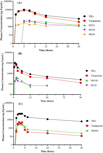 Figure 6. Plasma concentration–time curves of total radioactivity (TRA), vatiquinone, and its metabolites following oral dose administration in rats (A), dogs (B), and human subjects (C).