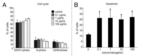 Figure 1. Effect of cetuximab on the cell cycle and apoptosis of sensitive cell line. (A) 11–18 cells were treated with indicated concentrations of cetuximab for 72 h, fixed, and stained with propidium iodide. The percentage of cells were analyzed in each phase of cell cycle by FACSCalibur. Experiments were done in triplicate. Bars indicate SD (B) 11–18 cells were treated with indicated concentrations of cetuximab for 72 h, and stained with PE Annexin V and 7-AAD. The percentage of apoptotic cells were analyzed using FACSCalibur. Data are the summary of percentages of early and late apoptotic cells (Annexin V positive), and expressed as mean ± SD of three independent experiments. *p < 0.05 vs. control by Mann-Whitney U test.