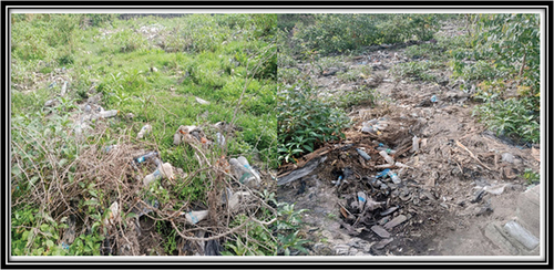 Figure 7. Temporary existing open solid waste dumping site (field survey, 2023).