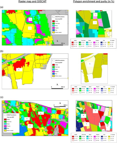 Figure 3 (a). Case 1: a parcel is completely covered by just one raster category (purity = 100%). Case 2: the inner portion of a parcel appears clearly covered by just one raster category but the borders show different categories (purity above 75%). Figure 3(b). Case 3a: a parcel with two clear raster categories (purity below 50%), with a regular sprawl. Figure 3(c). Case 3b: a parcel with two clear raster categories (purity about 50%), with an irregular sprawl. Case 3c: a parcel with more than two raster categories (purity below or just above 50%), with a regular sprawl. Case 3d: a parcel with more than two raster categories but with an irregular sprawl.