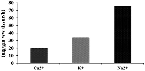 Figure 2. Effect of PZQ on the rate of Ca2+, Na2+ and K+ efflux by H. diminuta.