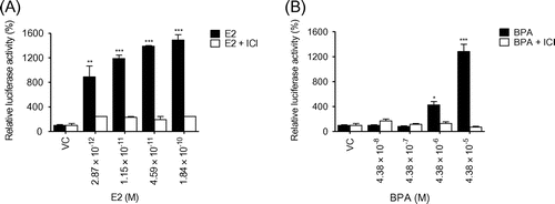 Fig. 3. BPA elevates ER transcriptional activation in BG1Luc4E2 cells.Note: The stably transfected BG1Luc4E2 cells were treated with E2 (A) or BPA (B) at the indicated concentrations in the absence or presence of ICI 182,780 for 24 h. After removal of the media, the luciferase solution was added (Steady-Glo) and the luciferase activities were measured using Luminometer (MicroBeta2, Perkin Elmer). Luciferase activity is expressed as a relative value to that of the vehicle (DMSO)-treated cells which is set to 100%. The figures show the mean ± SEM (n = 3). *P < 0.05, **P < 0.01, ***P < 0.005.