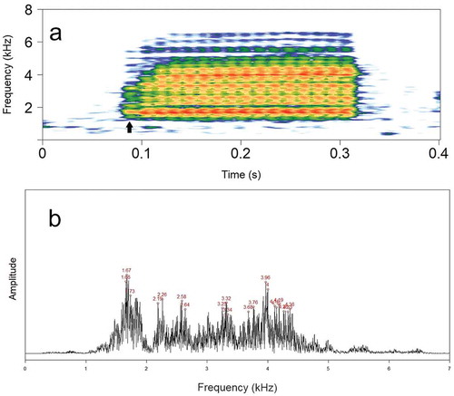 Figure 3. (a) Spectrogram of the same call in Figure 2(a) with FFT of 1024 samples (arrow points to the frequency range of the first pulse), and (b) its respective power spectrum showing several frequency peaks around the two main ones (LFB = 1.67 kHz, HFB = 3.96 kHz).