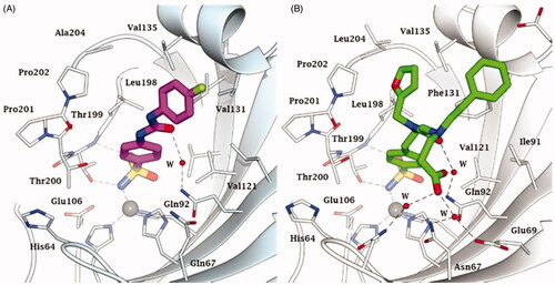 Figure 5. Active site view of A) hCA IX catalytic domain adducted to SLC-0111 (magenta)Citation74 and B) hCA II adducted to the three tailed inhibitor 4 (in green).Citation71 H-bonds are represented as black dashed lines. The Zn(II) ion (grey sphere) and some important amino acid residues involved in the binding of inhibitors are shown.