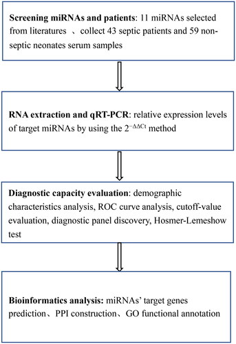 Figure 1. The flowchart of study design. ROC: receiver operating characteristic.