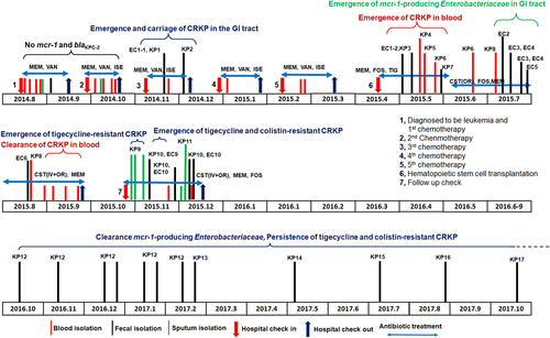 Fig. 1 Detailed outline of the disease process and emergence and clearance ofblaKPC-2-positive ormcr-1-positiveEnterobacteriaceaestrains in a leukemia patient. Major medical events that occurred during a 2.5 years period are shown. Isolation of bacteria from different specimen types are labeled with different colored lines. The time points at which blaKPC-2-positive or mcr-1-positive Enterobacteriaceae strains emerged or cleared from different body sites are also stated, along with the duration and types of antibiotics used for treatment. All abbreviations are as explained in Tables 1 and 2