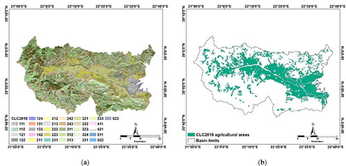 Figure 2. (a) CLC2018 classification; (b) Extent of agricultural areas within the basin.