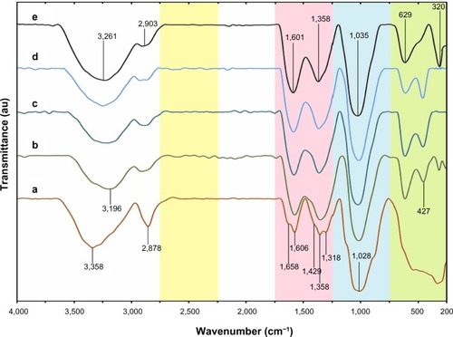 Figure 3 Fourier transform infrared spectra of chitosan (a) and chitosan-copper nanoparticles (0.05, 0.1, 0.2, and 0.5 wt% [b–e], respectively).