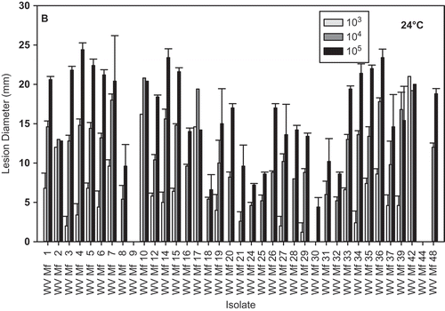 Fig. 4. (Continued.)