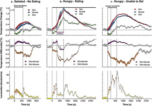 Figure 9. Mean changes in temperatures (NAc, temporal muscle, and skin; top row), temperature differentials (middle row) and locomotion (bottom row) during three feeding experiments in trained rats. In the first experiment (A), the rat was satiated and did not show eating during the presentation of food container (two vertical lines = presentation and removal of food container). In the second experiment, the rat was food-deprived (hungry) and it reached food container, removed food sample, and consumed it. In the third experiment, the rat was food-deprived (hungry) but the food container was closed and the rat was unable to retrieve food from the container. Original data were reported in [Citation39] and replotted for this article.