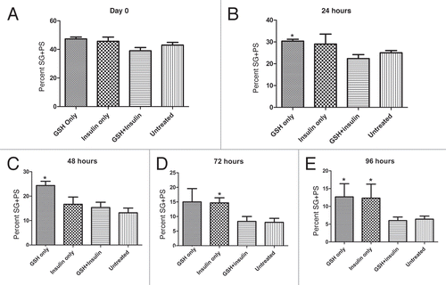 Figure 8 Percentages of early spermatogenic cysts (spermatogonia (SG) + primary spermatocyte (PS)) cysts present over 96 hours in treated and untreated cultures. SG and PS percentages were pooled for GSH, Insulin and GSH+Insulin. (A) Initiation of culture, (B) 24 hours, (C) 48 hours, (D) 72 hours, (E) 96 hours. *p < 0.05 (Student's t-test). Means ± SEM. n = 3 for each treatment; n = 5 for untreated controls.