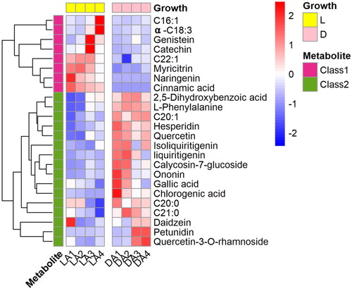 Figure 4. Heatmap of differential profiles of phenolic compounds and fatty acids in in light (L) and dark-grown (D) cotyledons of A. membranaceus.