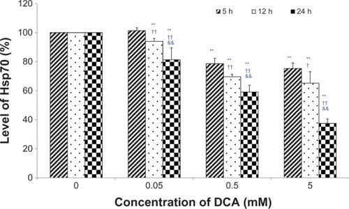 Figure 4 Effects of DCA on the level of hsp70 in C6 cells.