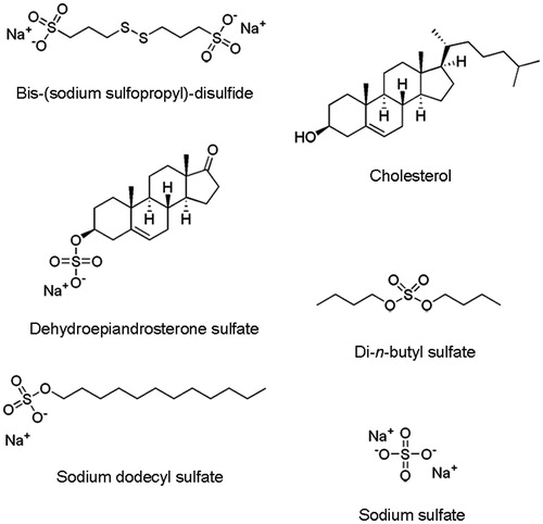 Figure 4. Compounds with structurally similar properties to CS used in this study.
