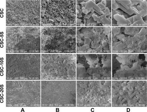 Figure 4 Scanning electron microscopy after 7-day immersion in simulated body fluid.Notes: (A) ×200; (B) ×500; (C) ×5,000; (D) ×10,000.Abbreviation: CSC, calcium sulfate cement.